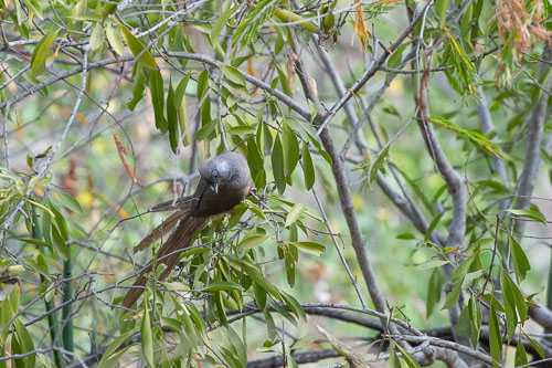 _DSC7807.jpg _DSC7807.jpg