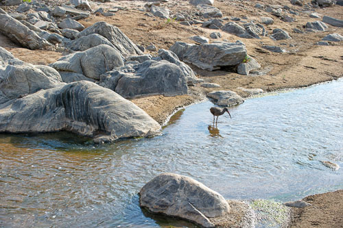 _DSC7896-180802-2447.jpg _DSC7896-180802-2447.jpg