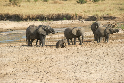 _DSC7902.jpg _DSC7902.jpg