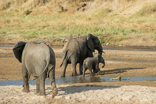 _DSC7909.jpg _DSC7909.jpg