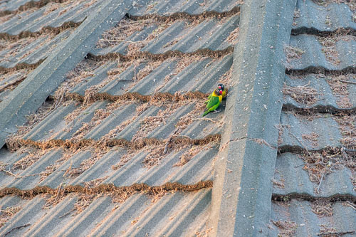 _DSC7982.jpg _DSC7982.jpg