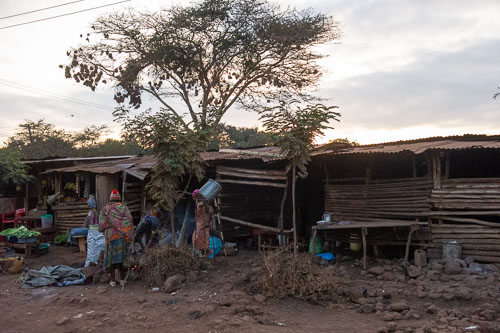 _DSC7987.jpg _DSC7987.jpg