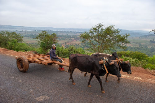 _DSC7988.jpg _DSC7988.jpg