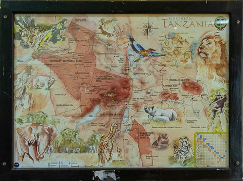 _DSC7995.jpg _DSC7995.jpg