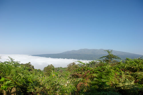 _DSC8000.jpg _DSC8000.jpg