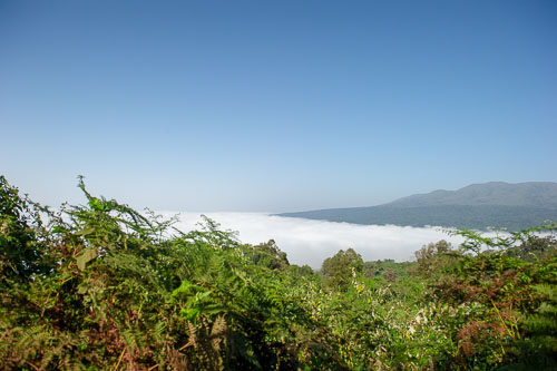 _DSC8002.jpg _DSC8002.jpg