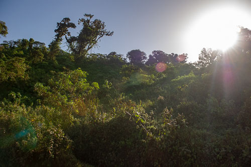 _DSC8003.jpg _DSC8003.jpg