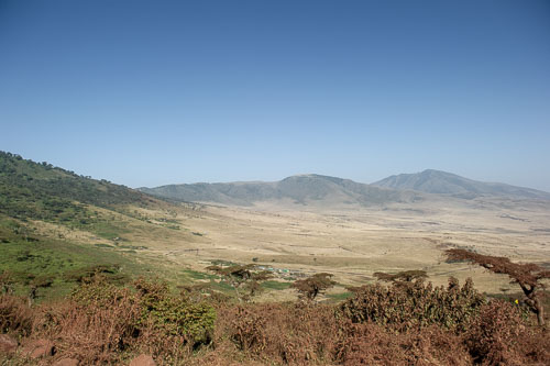 _DSC8020.jpg _DSC8020.jpg