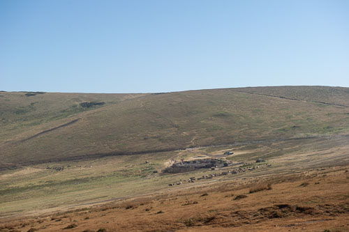 Massai Village _DSC8029.jpg