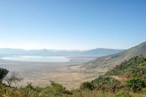 _DSC8030-180803-2459.jpg _DSC8030-180803-2459.jpg