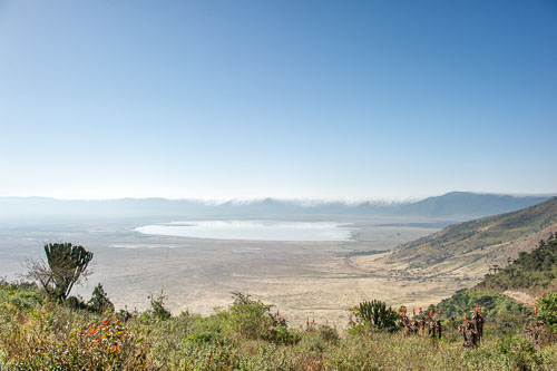 _DSC8032-180803-2461.jpg _DSC8032-180803-2461.jpg