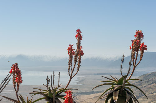 _DSC8046-180803-2463.jpg _DSC8046-180803-2463.jpg