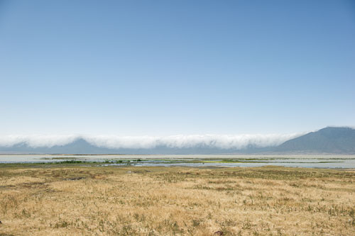Ngorongoro Krater _DSC8067-180803-2478.jpg