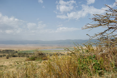 _DSC8131-180803-2502.jpg _DSC8131-180803-2502.jpg