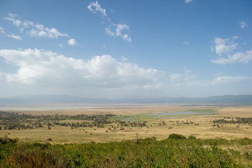 _DSC8137.jpg _DSC8137.jpg