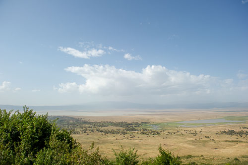 _DSC8139.jpg _DSC8139.jpg