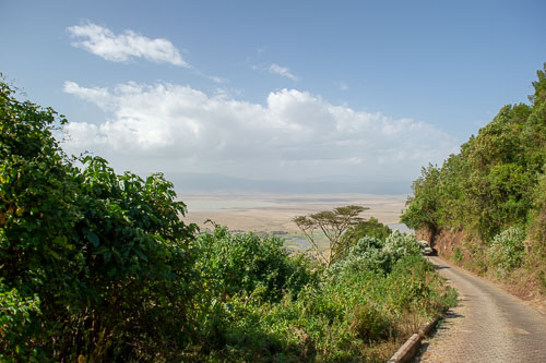 _DSC8142.jpg _DSC8142.jpg