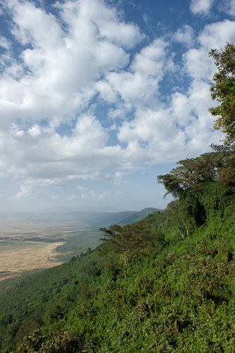 _DSC8157-180803-2503.jpg _DSC8157-180803-2503.jpg