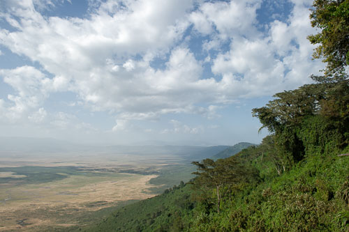 _DSC8158-180803-2504.jpg _DSC8158-180803-2504.jpg