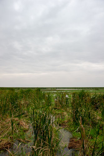 _DSC8228.jpg _DSC8228.jpg