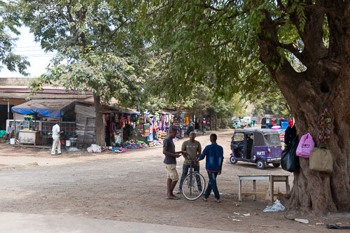 _DSC8239.jpg _DSC8239.jpg