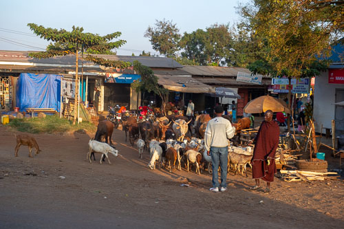 _DSC8253.jpg _DSC8253.jpg