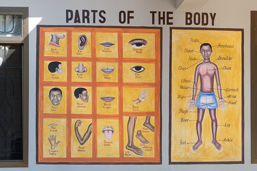 _HMR4345.jpg _HMR4345.jpg