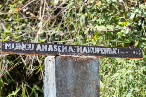 Bible on the Ground _HMR4377.jpg