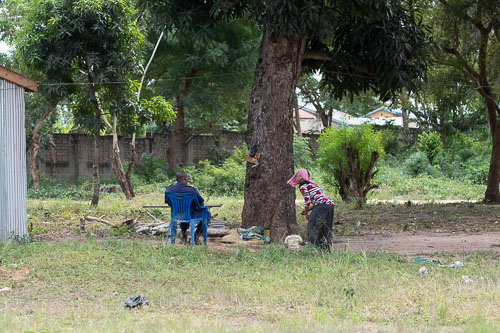 Wachpause _HMR4379.jpg