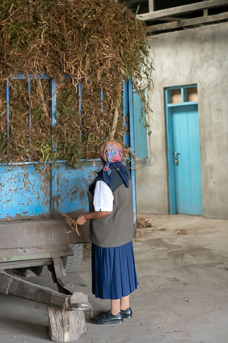 _HMR4414.jpg _HMR4414.jpg