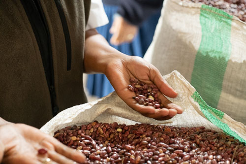 _HMR4420.jpg _HMR4420.jpg