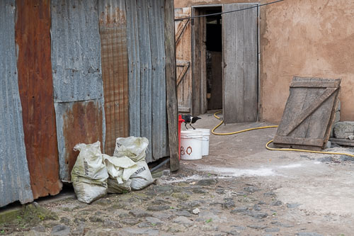 _HMR4425.jpg _HMR4425.jpg