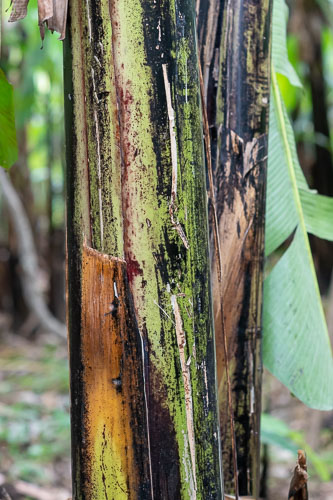 _HMR4447.jpg _HMR4447.jpg