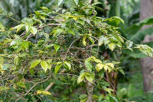 _HMR4451.jpg _HMR4451.jpg