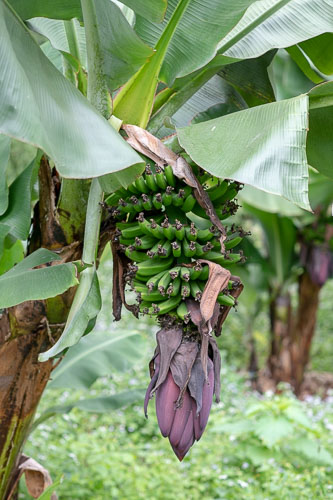 _HMR4454.jpg _HMR4454.jpg