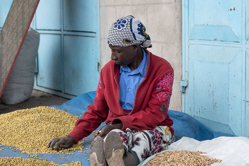 _HMR4503.jpg _HMR4503.jpg