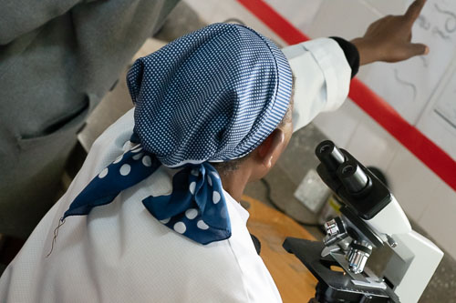 Laborarbeit _HMR4628.jpg