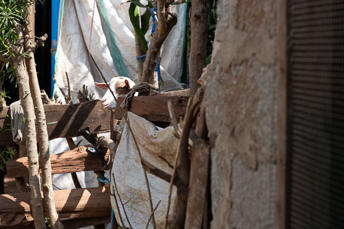 _HMR4701.jpg _HMR4701.jpg