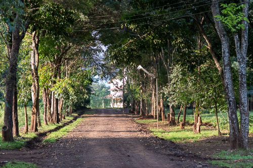 _HMR4829.jpg _HMR4829.jpg