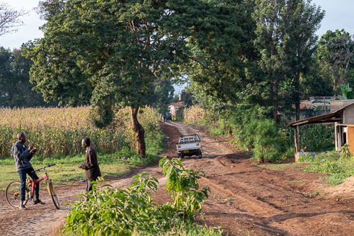 _HMR4834.jpg _HMR4834.jpg