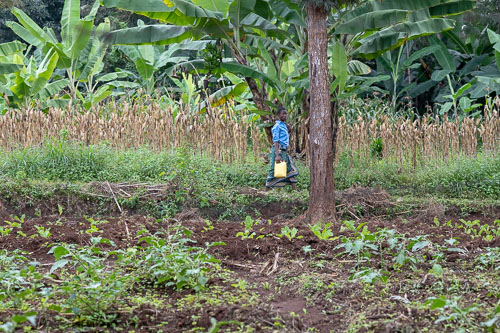 _HMR5072.jpg _HMR5072.jpg