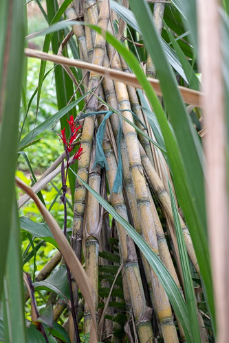 _HMR5073.jpg _HMR5073.jpg