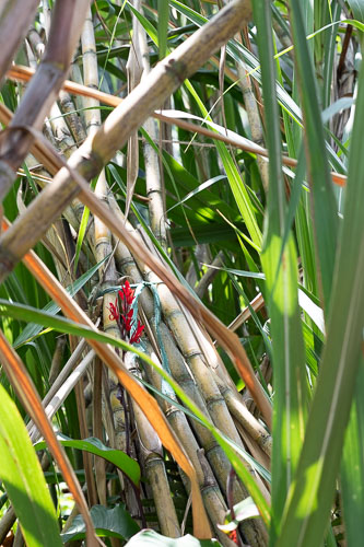 _HMR5074.jpg _HMR5074.jpg