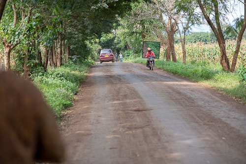 _HMR5080.jpg _HMR5080.jpg