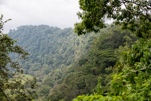 Alter Vulkankrater _HMR5122-180731-2371-180731-2372.jpg