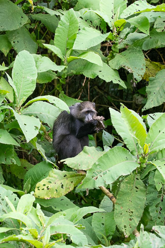 _HMR5132.jpg _HMR5132.jpg