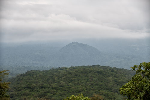 _HMR5160-180731-2378.jpg _HMR5160-180731-2378.jpg