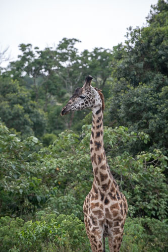 _HMR5191.jpg _HMR5191.jpg