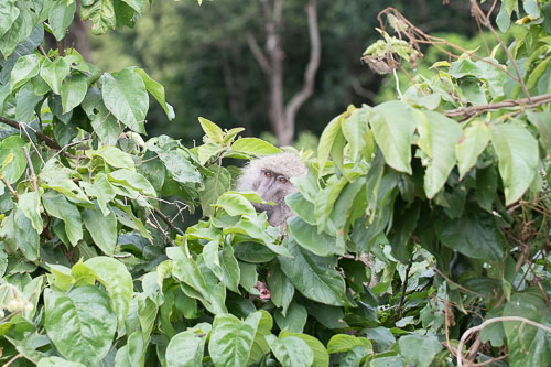 _HMR5220.jpg _HMR5220.jpg