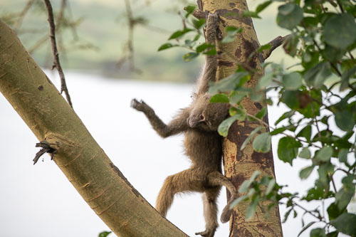 _HMR5287.jpg _HMR5287.jpg